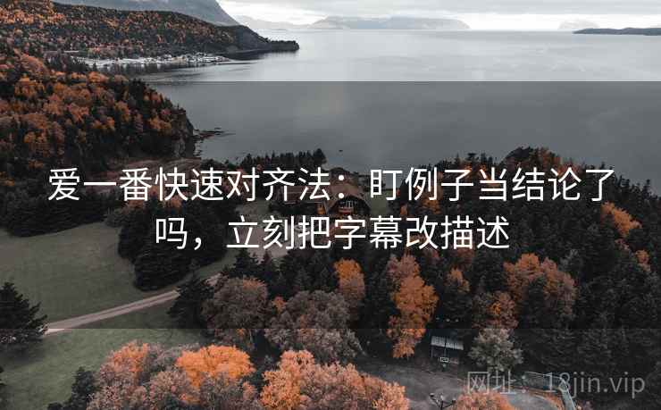 爱一番快速对齐法：盯例子当结论了吗，立刻把字幕改描述